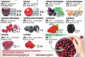 40e9a62724aeb791841d461175a4888b.webp