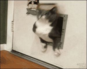 55d95d2bcfe9212b2f845cd9be32b7cd.gif