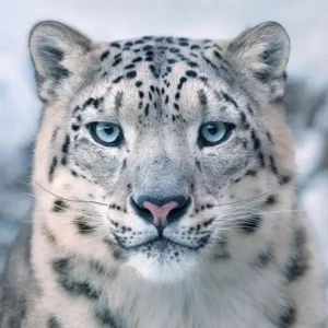 e26a422001a159cc20aed69f907abb9c.webp