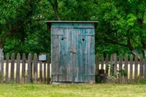 f8ccfb9441840c41bc81e083f2b69e1e.webp