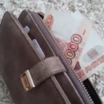 Юрист Ибрагимов раскрыл схемы мошенничества с маткапиталом при покупке дачи