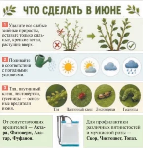 3554fe7fa4ab88773641ce7648a5817d.webp